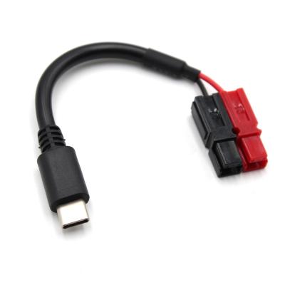 China Power Manufacturer Custom 10Cm USB Connector C To PP15 Cable Fill Wires 22Awg C Type Te koop