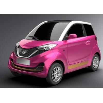 China Leather 4X4 (4WD) Mini Electric Car With 2 Seats 100% Pure Electric New Energy Fashion City Global Car for sale