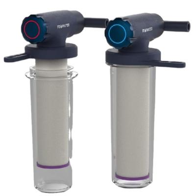 China Household FD Whole House Water Filtration System FLURIDA for sale