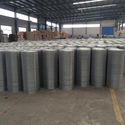 China Perfect for 20# Inch x Seedling 1/2 Iron Wire Metal Protective Bird Mesh Galvanized Roll Welded Wire Mesh for sale