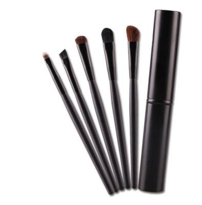 China Angular Blush Travel Makeup Brush 5Pcs High Quality Eyeshadow Makeup Brush Set for sale