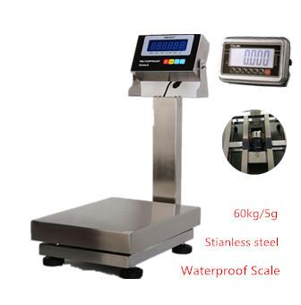 China Platform scale BWS-3040 60kg/5g Stainless Steel Industry Weighing bench scale IP67 AC 220V with waterproof indicator for sale