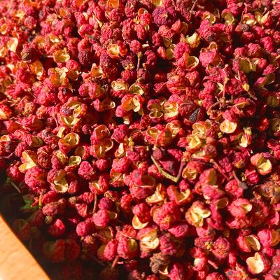 China 100% Pure Chinese Numb Spices Dried Sichuan To Pepper Red Szechuan Pepper for sale