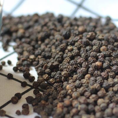 China Newest Dry Dry Black Pepper Rate No Additives for sale