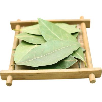 China 100% Pure New Dry Bay Leaves Spice Leaf for sale