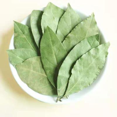 China 100% Pure Single Spices Leaf Bay Leaves for sale