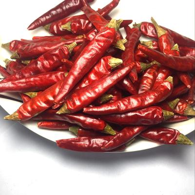 China Guizhou dry xiaomila mantianxing super spicy chili pepper for sale