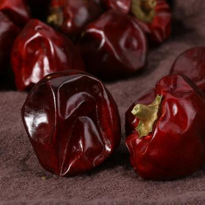 China China Natural Dried Nuisanceless Red Chilli Belly Pepper for sale