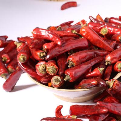 China International Price 100% Pure Organic Red Pepper Chili Peppers Dried for sale