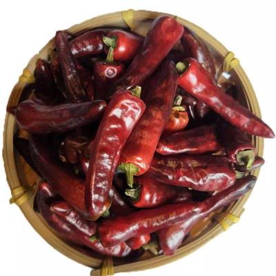 China Wholesale Price 100% Pure Hot Chilli Chaotian Spicy Pepper Dried Red for sale