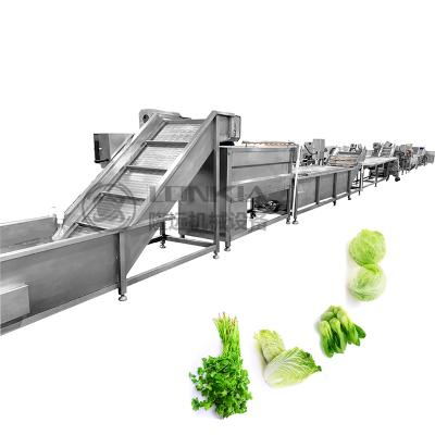 中国 Commercial vegetable processing line spinach cabbage washing and drying line 販売のため