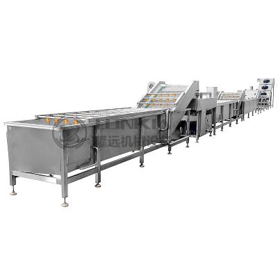 China Fully automatic vegetable Processing line Mushroom cabbage pickle washing and cutting line en venta