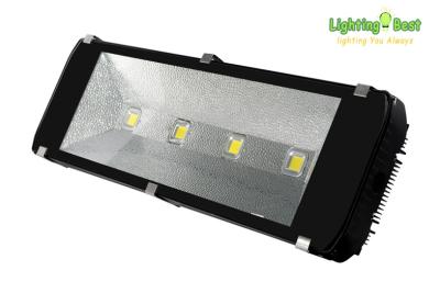 China A espiga 200w/240w pura do branco conduziu o tempo IP65 50000Hrs longo impermeável exterior das luzes do túnel à venda