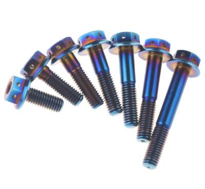 China High Strength Titanium Stainless Steel Grade 8.8 M5 M6 M8 Customized Painted Bolts for sale