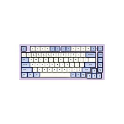 China Mechanical Operation Style HYEKU M2PRO Series Wired Wireless 3-mode Connect Keyboard for sale