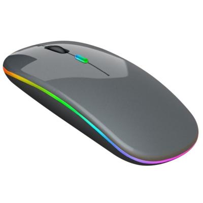 China Optical Tracking Method Dual Mode 2.4G Bt LED Wireless Rechargeable Ergonomic Mouse for Office Laptop PC for sale