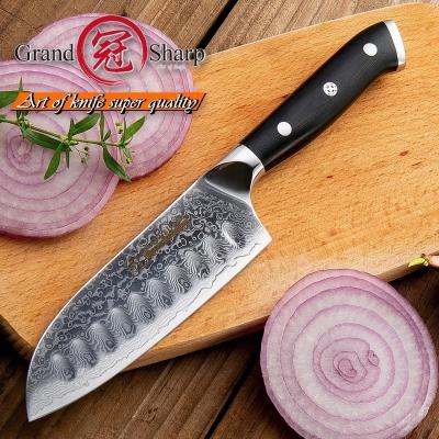 China Sustainable VG10 Damascus Steel Japanese Kitchen Chef Cooking Knife Damascus Steel Santoku Japanese Chef's Knife for sale