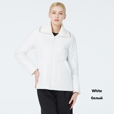 China Stylische Frühling Herbst Mantel für Frauen Kurze Taille Strickkragen Kurze Frühling Mantel zu verkaufen