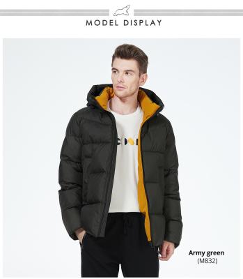 China Casual Style Simple Man Winter Coat Mens Winter Jackets With Stand Collar Collection for sale