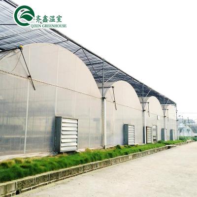 China Customized Film Agriculture Greenhouse Malaysia With UV Protective Film for sale