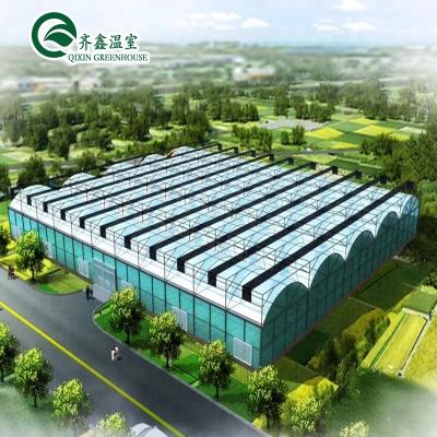 China Economical Multi-span Film Hydroponics Tomato Greenhouse for sale