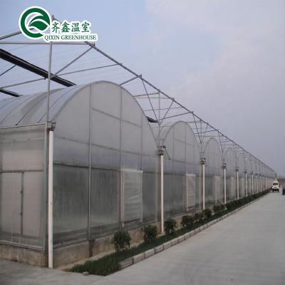 China Fruit Flowers Tomatoes China Low Cost Vegetable Film Tunnel Greenhouse for sale