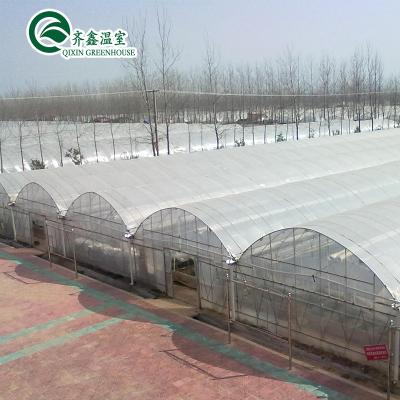 China Customized Industrial UV Plastic Transparent Greenhouse Poland for sale