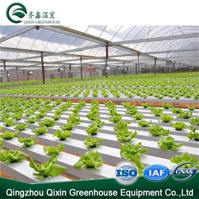 China Vegetable Flowers Tomatoes Fruits Akuaponik Hidroponik System Urban Greenhouse For Argentina for sale