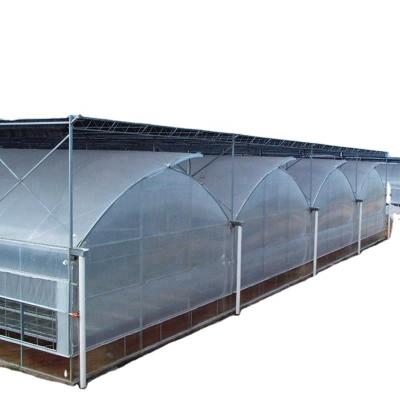 China Vegetable Fruit Flowers Tomatoes Agriculture Film Greenhouse For Farm for sale