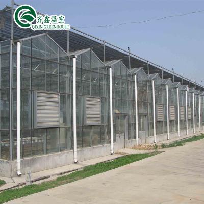 China Low Cost Customized Green Home Agricultural Strawberry With Hydroponic System for sale