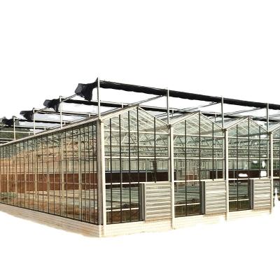 China Customized Agricultural Glass Greenhouse With PVC Gutter Hydroponic System for sale