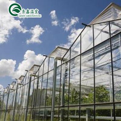 China Fruit Flower Tomatoes Hydroponics Aeroponic System Tower Vegetable Garden for Glass Greehouse for sale