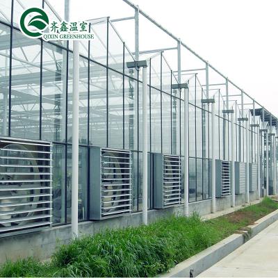 China Low Cost Customized Agricultural Aquaponics System Glass Greenhouse for sale