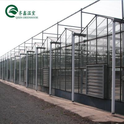 China Vegetable Flowers Flowers Hot Sale Agricultural Glass Greenhouse With Blackout System for sale