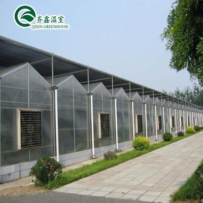 China Customized Plant Supplies Hydroponics Grow Kit Agricultural Ecological Garden Used Hydroponic Seed Plant Sponge for sale