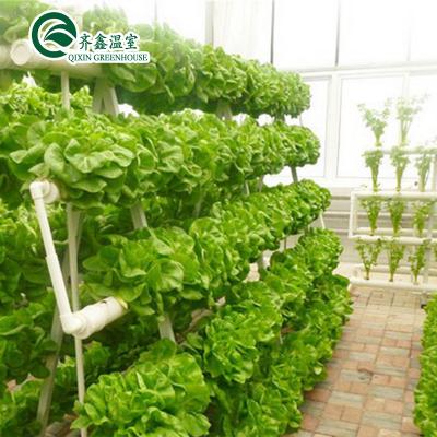 China Vegetable Vertical Flowers Tomatoes Lettuce Flowers Fruit System PC Leaf Hydroponic Greenhouse Netherlands Sales for sale