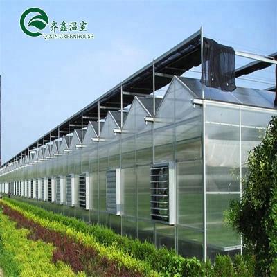 China Low Cost Economic Agricultural PC Systems Commercial Hydroponic Greenhouse for sale