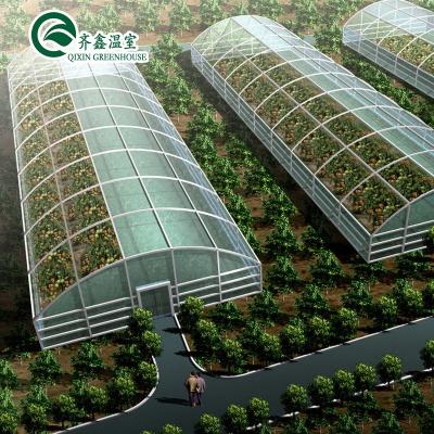 China Vegetable Flowers Tomatoes Shiitake Vegetable Single-span Plastic Film Greenhouse Agricultural Sales Morocco for sale