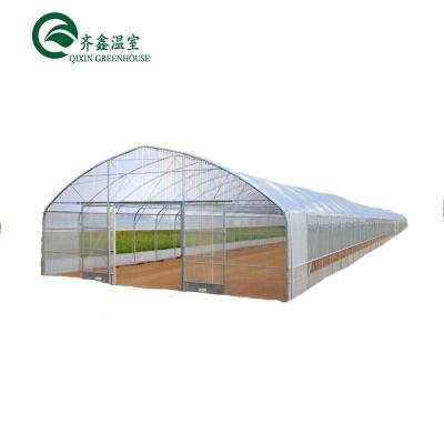 China Simple flower vegetable tomatoes fruit tunnel greenhouse in Poland for sale