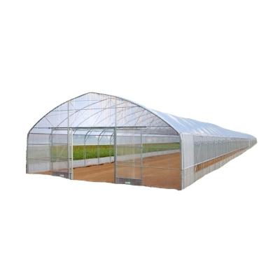 China Cheap Single Span Fruit Vegetable Flowers Tomatoes Galvanized 200 Micron Greenhouse Steel Plastic Sheet for sale