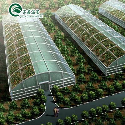 China Single Span Low Cost Single Plastic Film Greenhouse For Grow Vegetables for sale