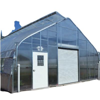 China Single Span Single Span Film Greenhouse For Sale Philippines for sale