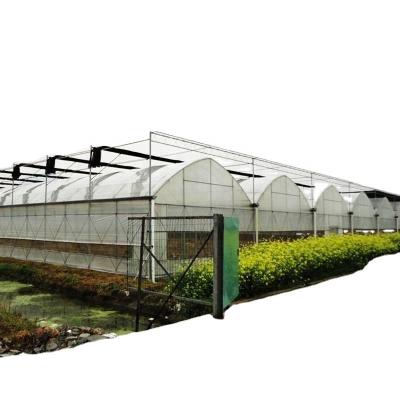 China Stable Hot Sale High Quality Indoor Dutch Bucket Structure Hydroponic System for sale