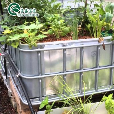 China Vegetable Fruits Flowers Tomatoes Prefab Vertical Aquaponic Aquarium System Greenhouse for sale