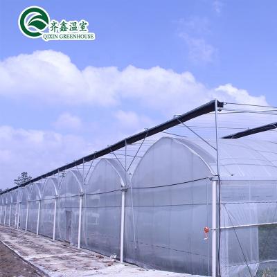 China Vegetable Fruit Flowers Aquaponics Tomatoes Grow Tent Plastic Sheet Greenhouse Agriculture for sale