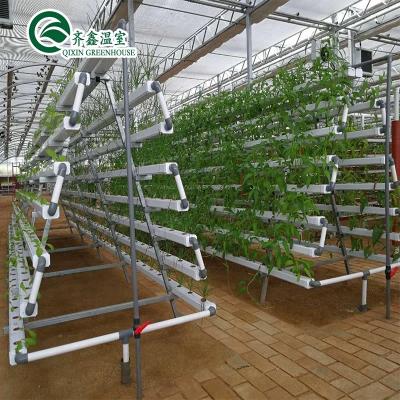 China A Customized Multi-span Greenhouse Hydroponics System for sale