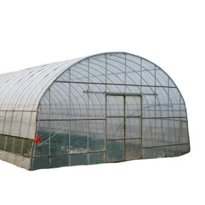 China Stable structure dutch bucket system with tomato hooks and strings for sale