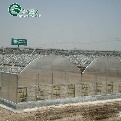 China Economical High Quality Hydroponics Forage Systems PC Leaf Growing Green House for sale