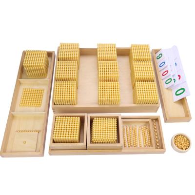 China Eco-Friendly Non-Toxic Hot Selling Gold Montessori Material Montessori Math Beads Kids Number Teaching Aids for sale