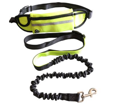 China Viable Running Walking Riser Hands Free Adjustable Running Dog Leash Retractable Dog Rope for sale